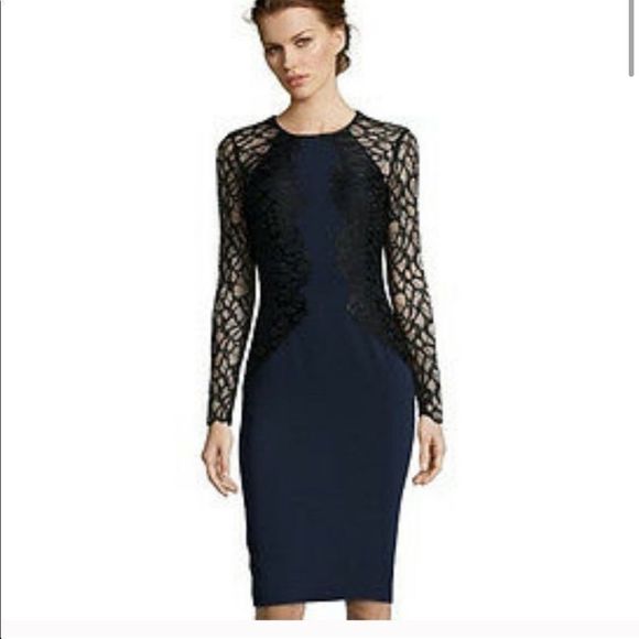 JAYGODFREY Dresses & Skirts - Jay Godfrey Mineta lace and crepe sheath dress